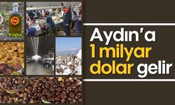 Aydın’a 1 milyar dolar gelir