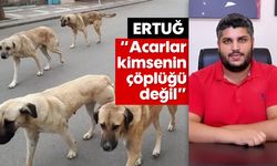 'Acarlar kimsenin çöplüğü değil'