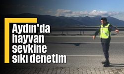 Aydın’da hayvan sevkine sıkı denetim