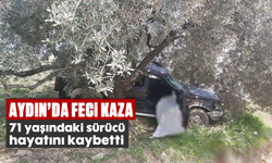 Aydın'da feci kaza: 71 yaşındaki sürücü hayatını kaybetti