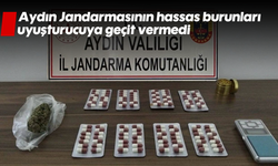 Aydın Jandarmasının hassas burunları uyuşturucuya geçit vermedi