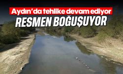 Aydın'da tehlike devam ediyor: Resmen boğuşuyor
