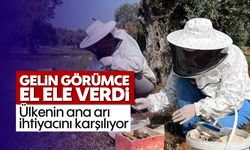 Gelin-görümce el ele verdi, ülkenin ana arı ihtiyacını karşılıyor