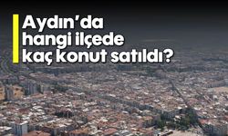 TÜİK açıkladı: Aydın'da hangi ilçede kaç konut satıldı?