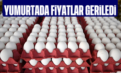 Yumurtada fiyatlar geriledi