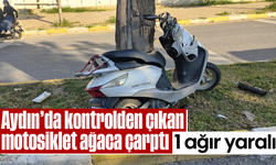 Aydın'da kontrolden çıkan motosiklet ağaca çarptı: 1 ağır yaralı