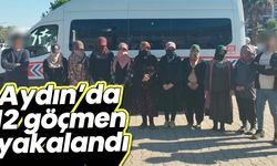 Aydın'da 12 göçmen yakalandı