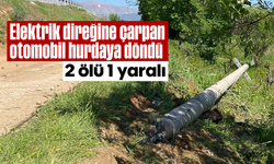 Elektrik direğine çarpan otomobil hurdaya döndü; 2 ölü 1 yaralı