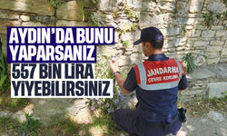 Aydın'da bunu yaparsanız, 557 bin lira ceza yiyebilirsiniz