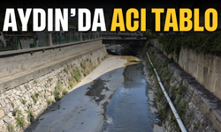 Aydın’da acı tablo