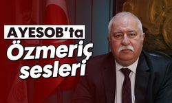 AYESOB’ta Özmeriç sesleri