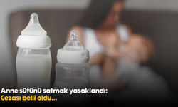 Anne sütünü satmak yasaklandı: Cezası belli oldu...