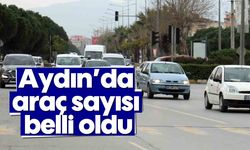 Aydın’da araç sayısı belli oldu