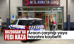Bozdoğan’da feci kaza: Aracın çarptığı yaya olay yerinde