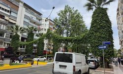Aydın’da görsel şölen büyülüyor