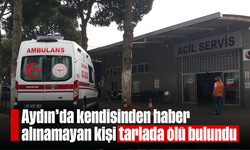 Aydın'da kendisinden haber alınamayan kişi tarlada ölü bulundu