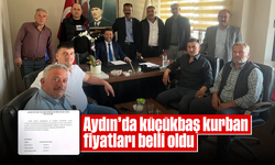Aydın'da küçükbaş kurban fiyatları belli oldu