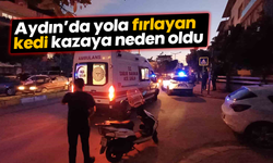 Aydın'da yola fırlayan kedi kazaya neden oldu