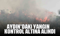 Aydın’daki yangın kontrol altına alındı