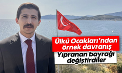 Ülkü Ocakları'ndan örnek davranış: Yıpranan Türk Bayrağı'nı değiştirdiler