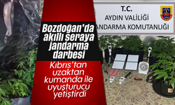 Bozdoğan’da akıllı seraya jandarma darbesi