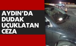 Aydın'da dudak uçuklatan ceza