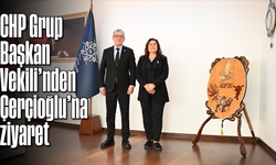 CHP Grup Başkan Vekili'nden Çerçioğlu'na ziyaret