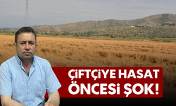 Çiftçiye hasat öncesi şok!