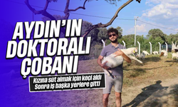 Aydın'ın doktoralı çobanı