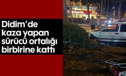 Didim'de kaza yapan sürücü ortalığı birbirine kattı