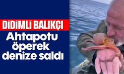 Didimli balıkçı ahtapotu öperek denize saldı