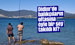 Didim'de balıkçıların oltasına öyle bir şey takıldı ki?