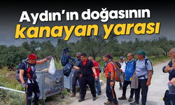 Aydın doğasının kanayan yarası