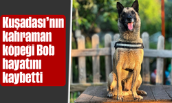 Kuşadası’nın kahraman köpeği Bob hayatını kaybetti
