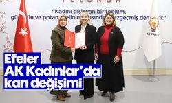 Efeler AK Kadınlar'da kan değişimi