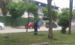 Efeler’in parkları Başkan Yetişkin’le yaza hazırlanıyor