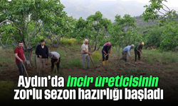 Aydın’da incir üreticisinin zorlu sezon hazırlığı başladı