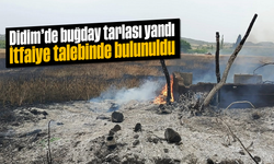 Didim’de buğday tarlası yandı: İtfaiye talebinde bulunuldu