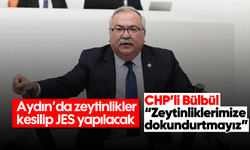 Aydın’da zeytinlikler kesilip JES yapılacak