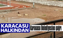 Karacasu halkından Karacasu Belediyesine çağrı