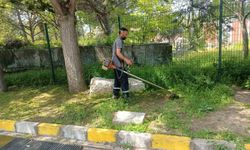 Karacasu Belediyesi ekipleri temizlik çalışmalarında hız kesmiyor