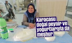 Karacasu doğal peynir ve yoğurtlarıyla da meşhur