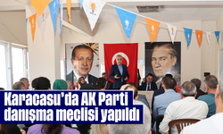 Karacasu'da AK Parti danışma meclisi yapıldı