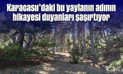 Karacasu'daki bu yaylanın adının hikayesi duyanları şaşırtıyor