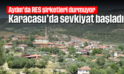Aydın'da RES şirketleri durmuyor: Karacasu'da sevkiyat başladı