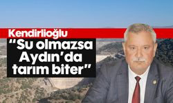 'Su olmazsa Aydın'da tarım biter'