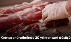 Kırmızı et üretiminde 20 yılın en sert düşüşü