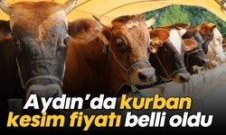 Aydın’da kurban kesim fiyatı belli oldu