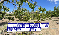 Kuşadası'nda soğuk hava kiraz hasadını vurdu