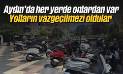 Aydın'da her yerde onlardan var: Yolların vazgeçilmezi oldular